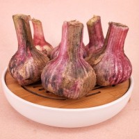 山東大蒜一件代發(fā) 干蒜，大干蒜 專業(yè)倉儲(chǔ) ERP對(duì)接 5斤裝