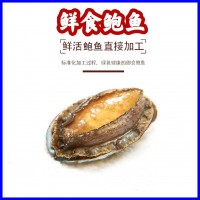 【工廠現(xiàn)貨批發(fā)】大連鮮食鮑魚(yú) 可除膜 黃金鮑 貨源充足電商專(zhuān)供