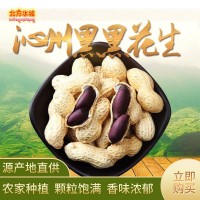 現(xiàn)貨供應沁州黑黑花生五谷豆?jié){原料辦公室休閑零食小吃 2件起批