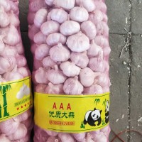 大蒜公司，源頭工廠供應金鄉出口大蒜，超市大蒜